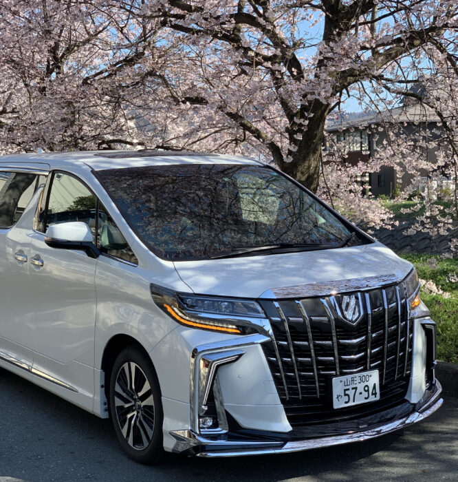 柔らかい TOYOTA アルファード30系後期 モデリスタ エアロ - 外装